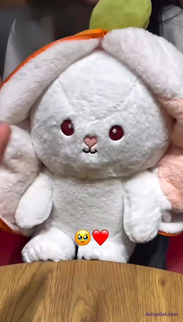 حقيبة الدبدوب