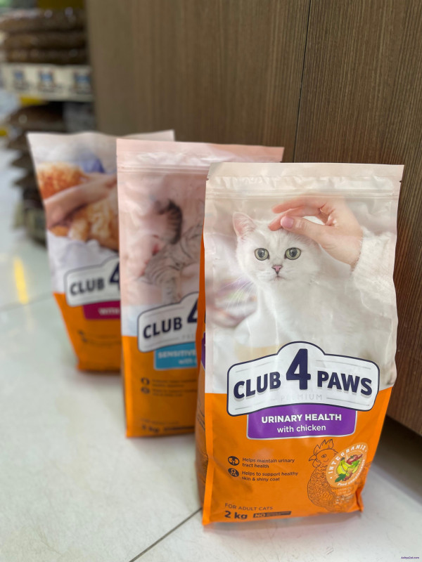 cat food