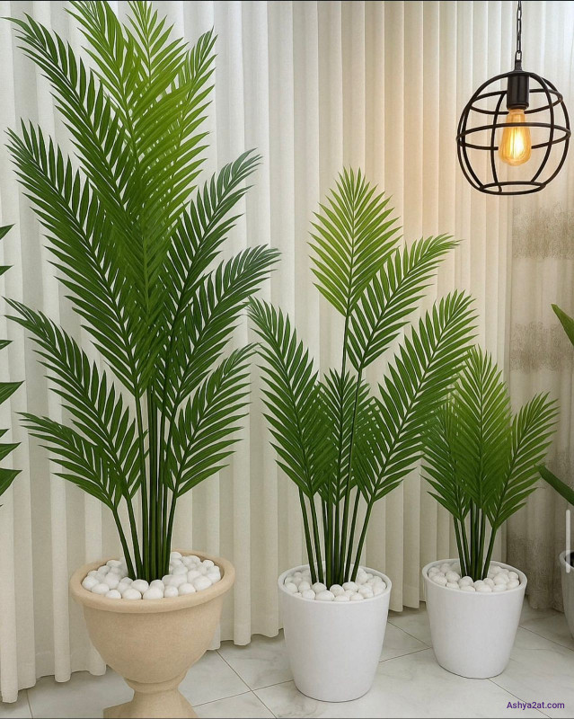 شجرة الأريكا الصناعية