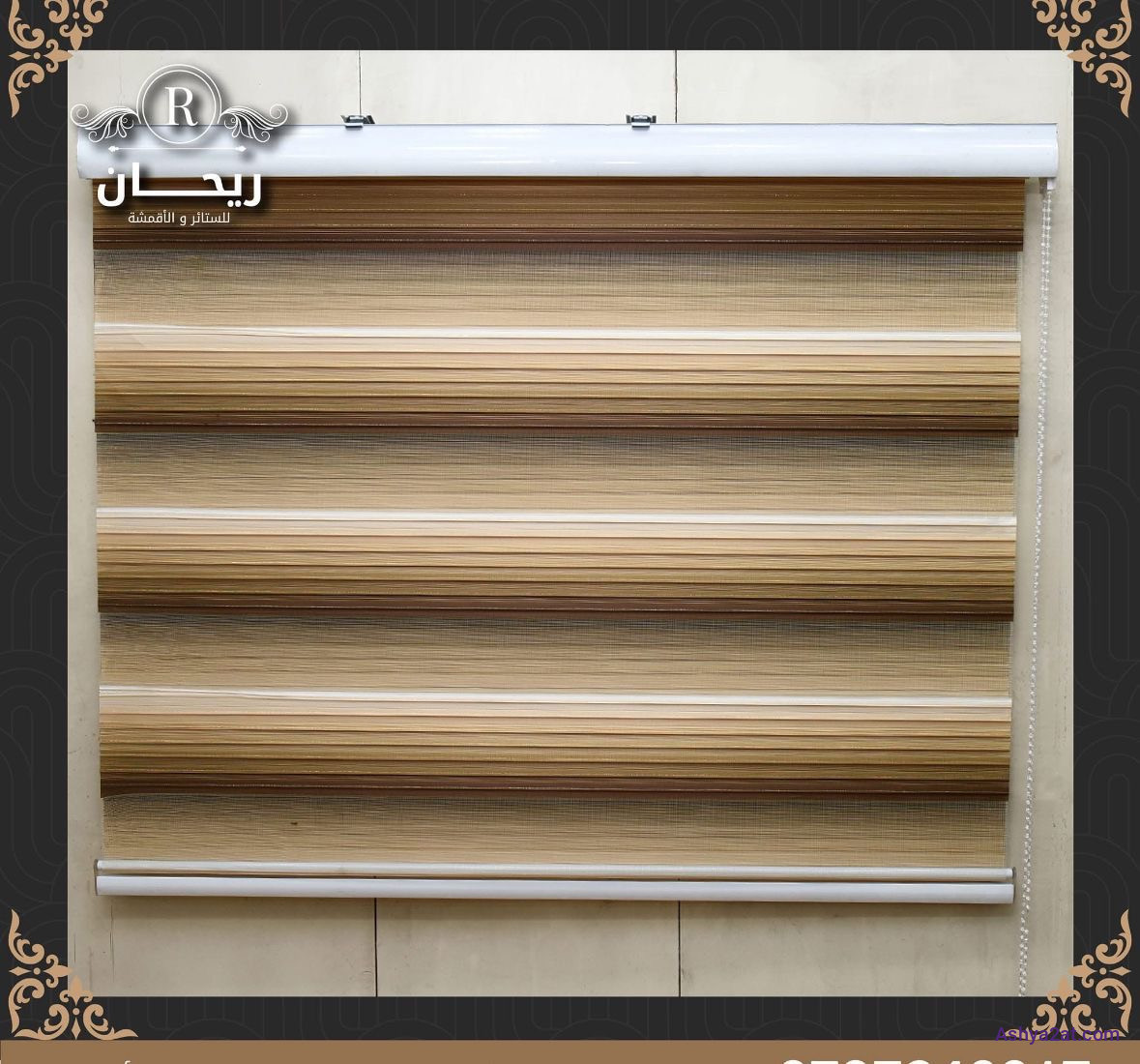 ستارة زيبرا