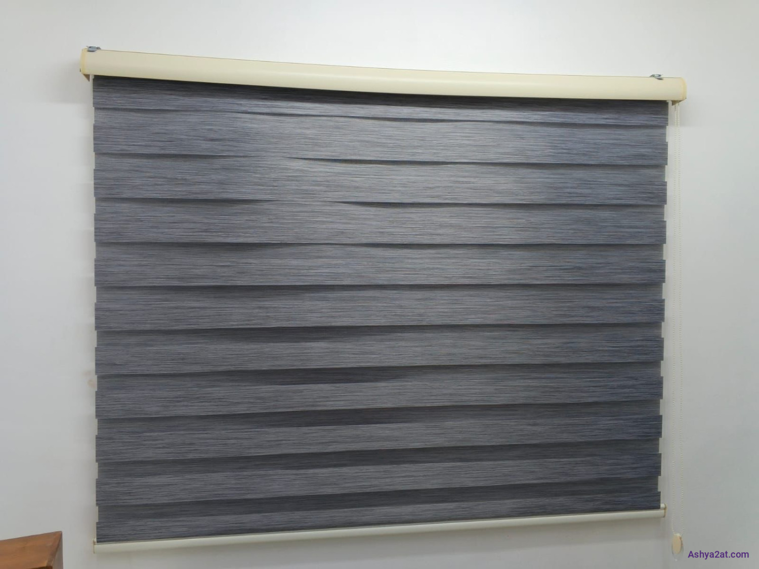 ستارة زيبرا