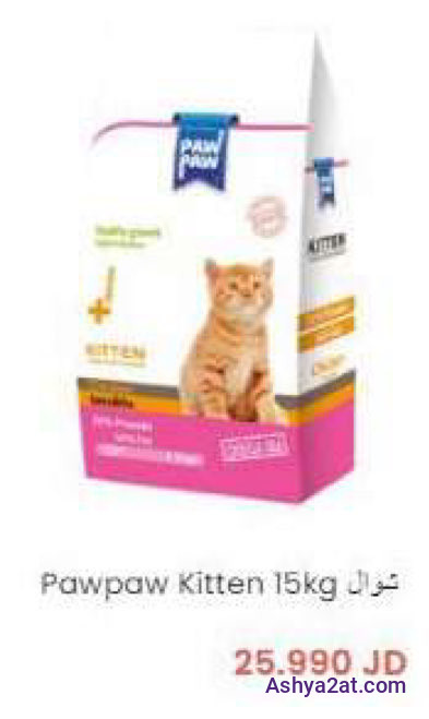 Pawpaw Kitten 15kg