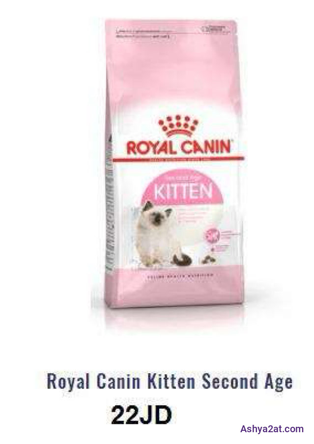 Royal Canin Kitten Second Age