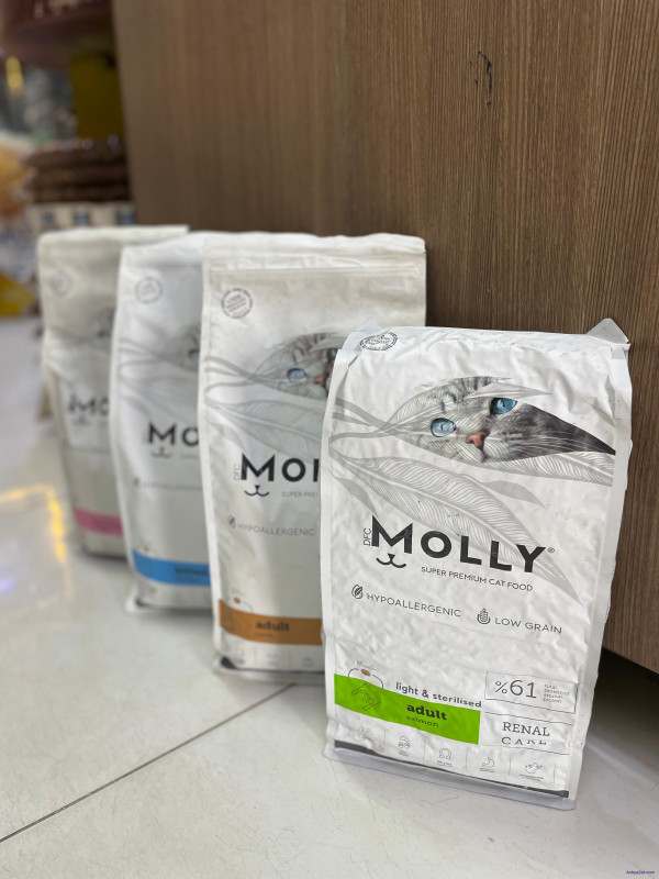 cat food