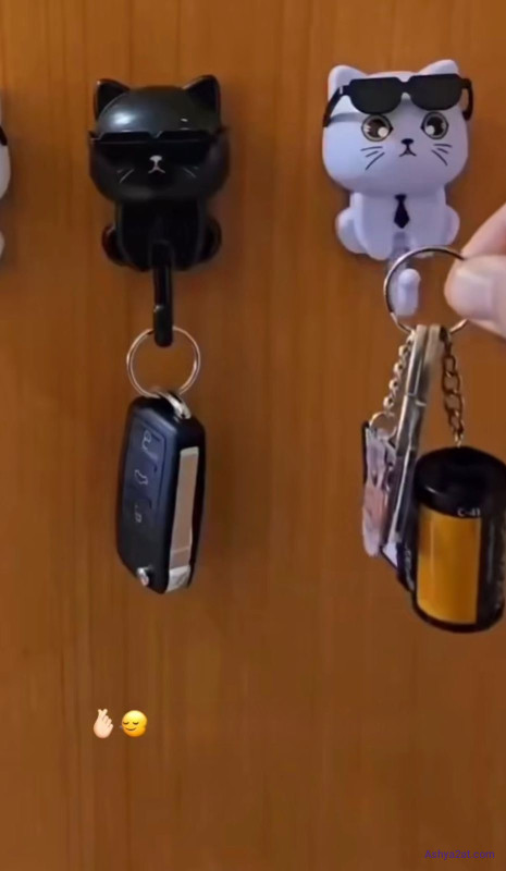 تعليقة مفاتيح