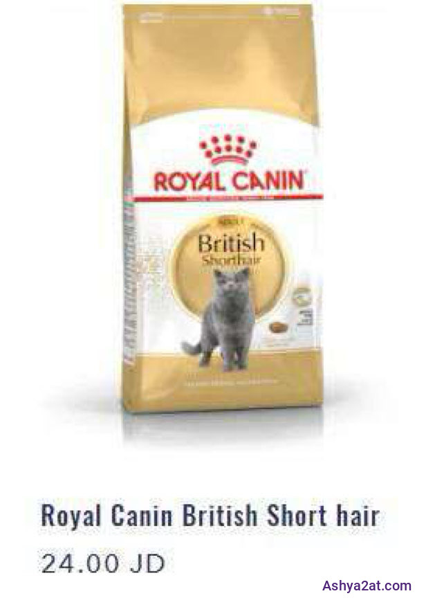 Royal Canin British Short hair